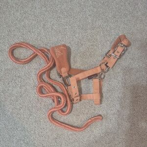 Lemieux Mini Vogue Halter Apricot